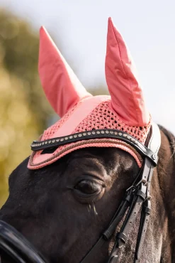 Urban Vitality Fliegenhaube