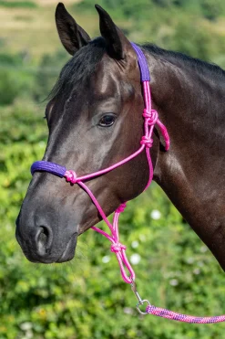 USg Knotenhalfter mit Führstrick