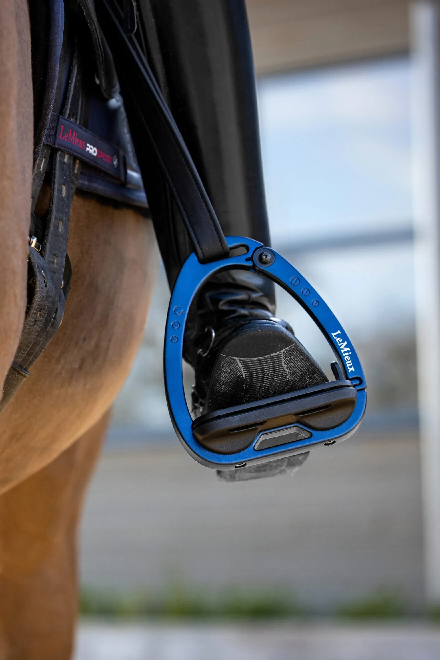 Vector Balance Steigbügel