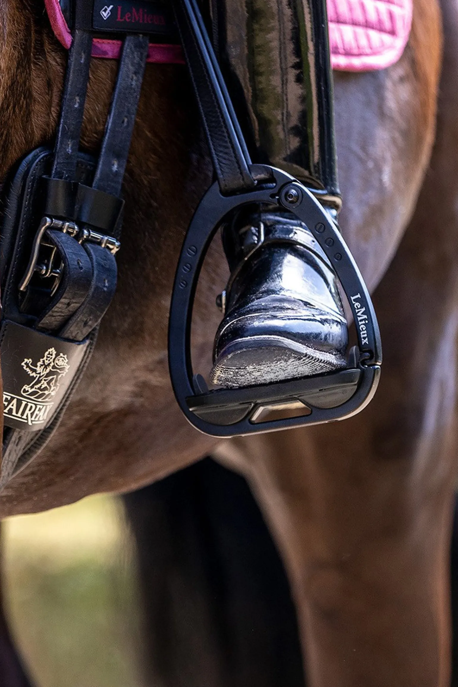 Vector Balance Steigbügel