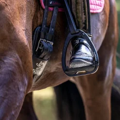 Vector Balance Steigbügel