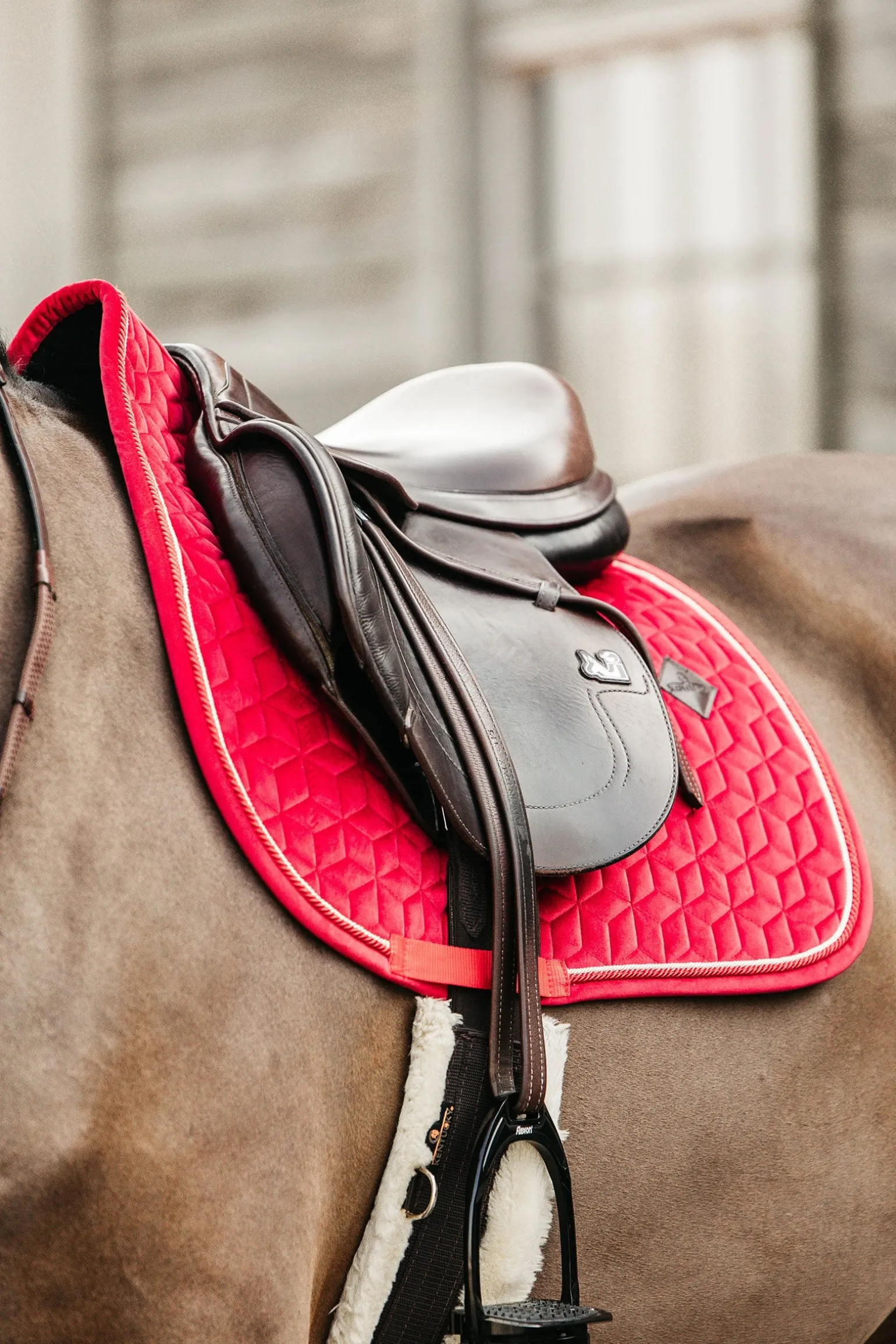 Velvet Dressurschabracke