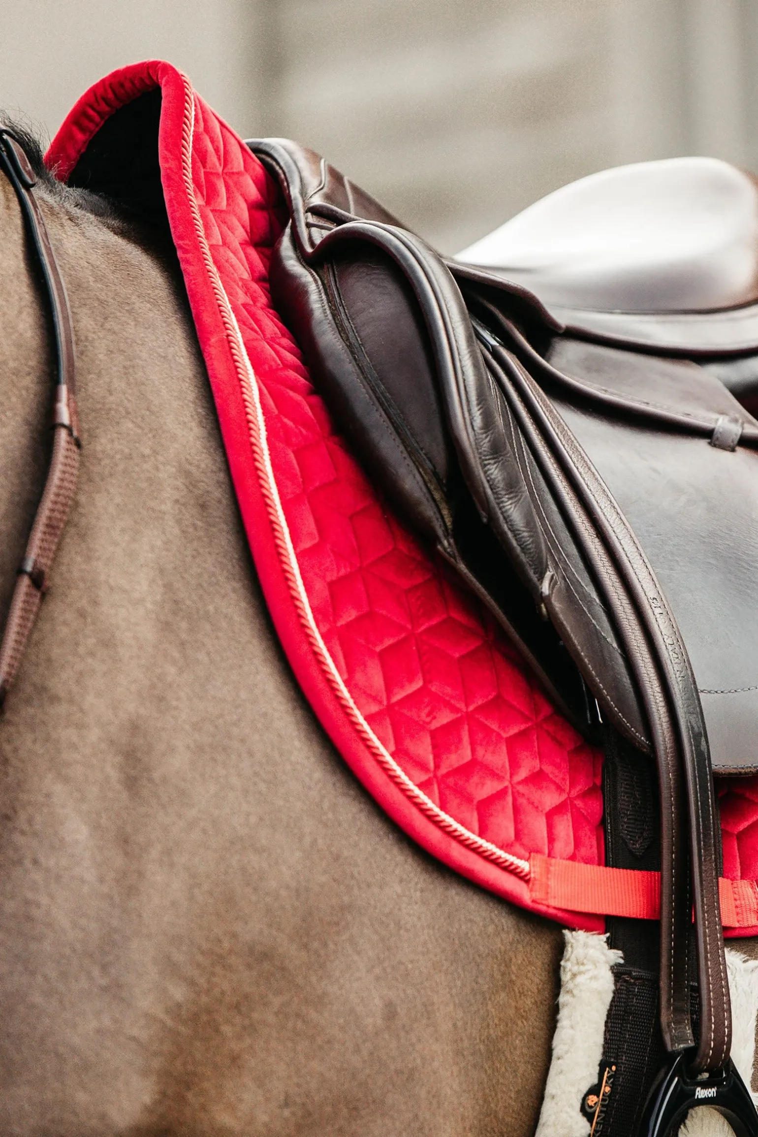 Velvet Dressurschabracke