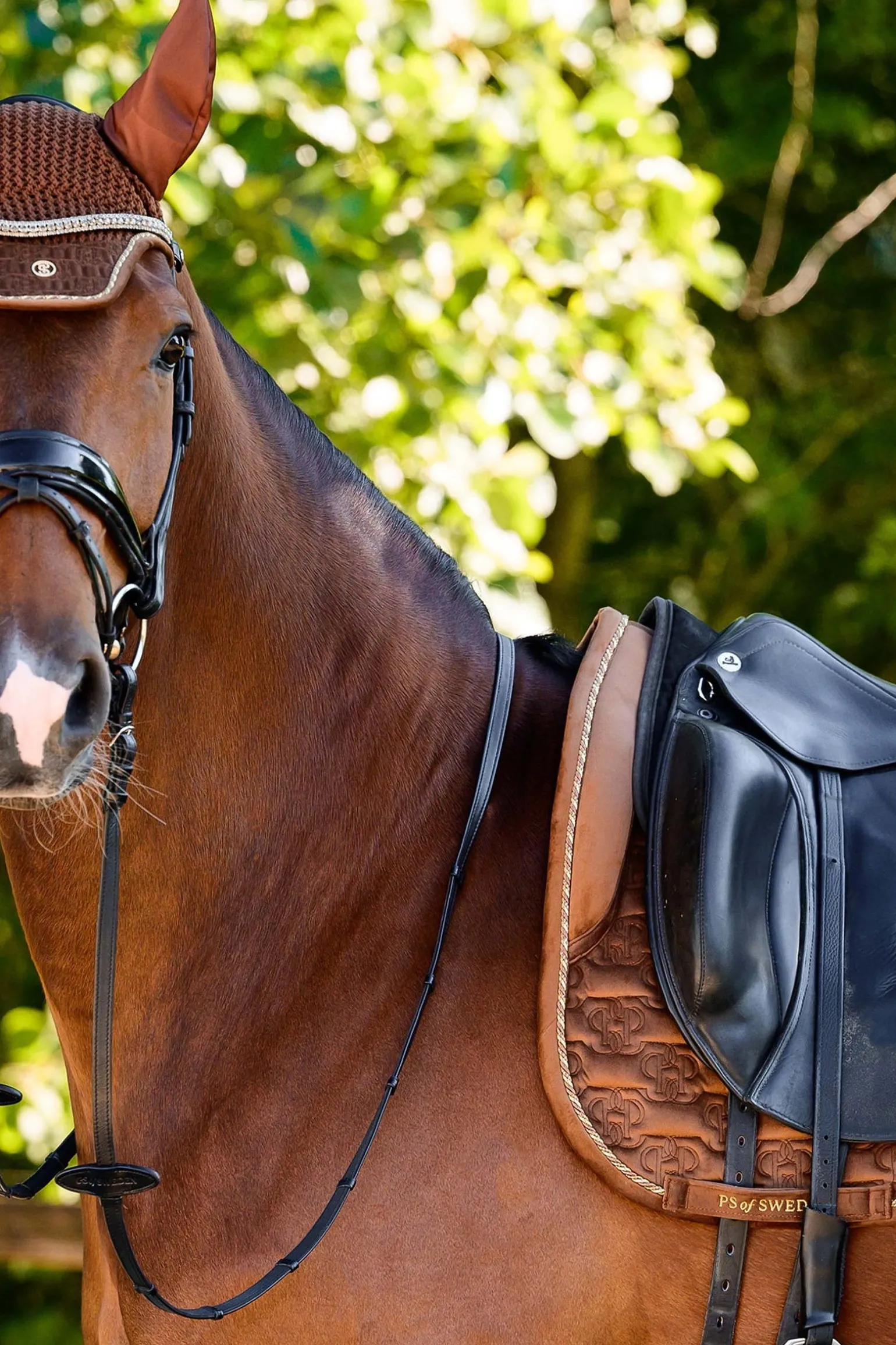 Velvet Monogram Dressur Schabracke