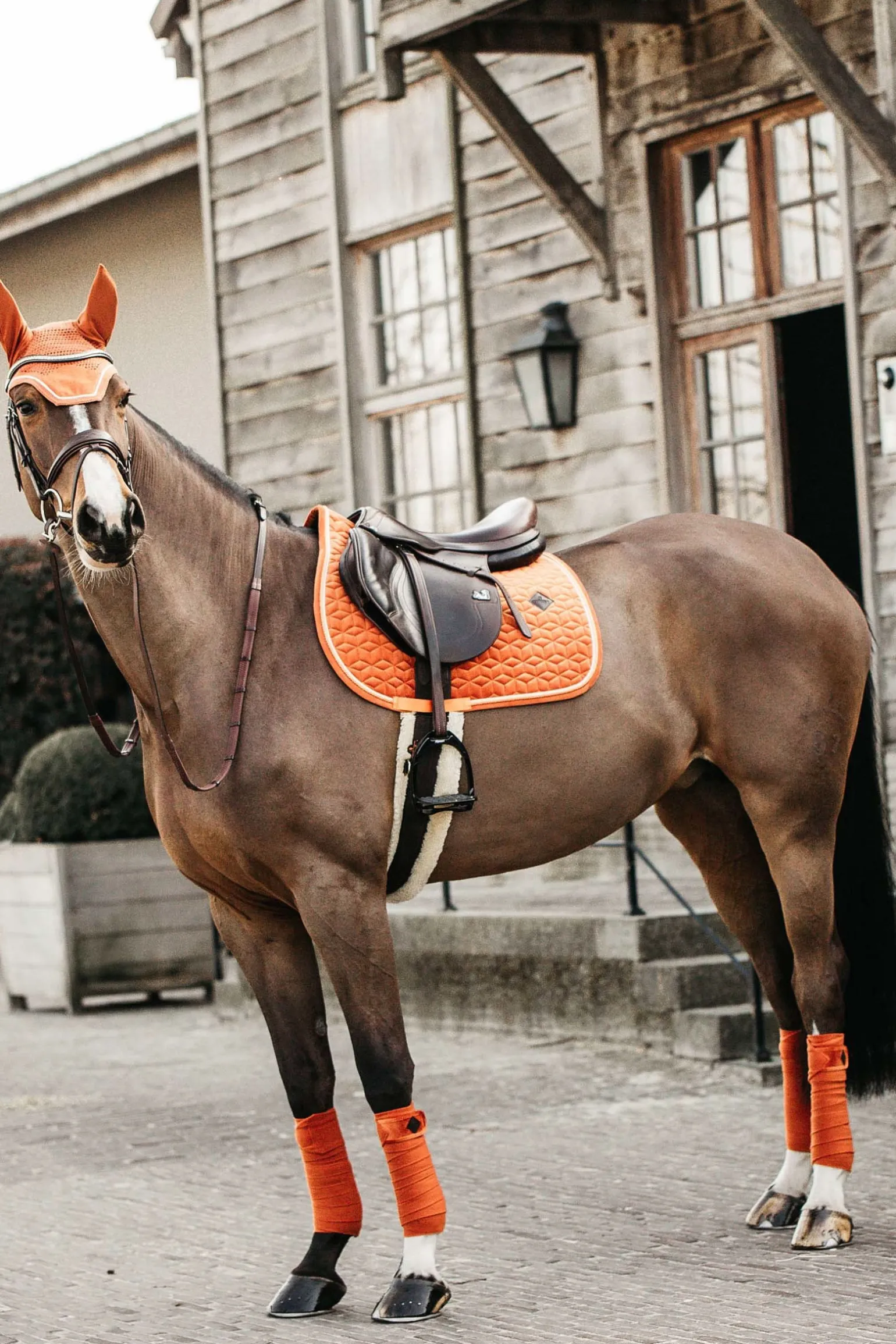 Velvet Springschabracke