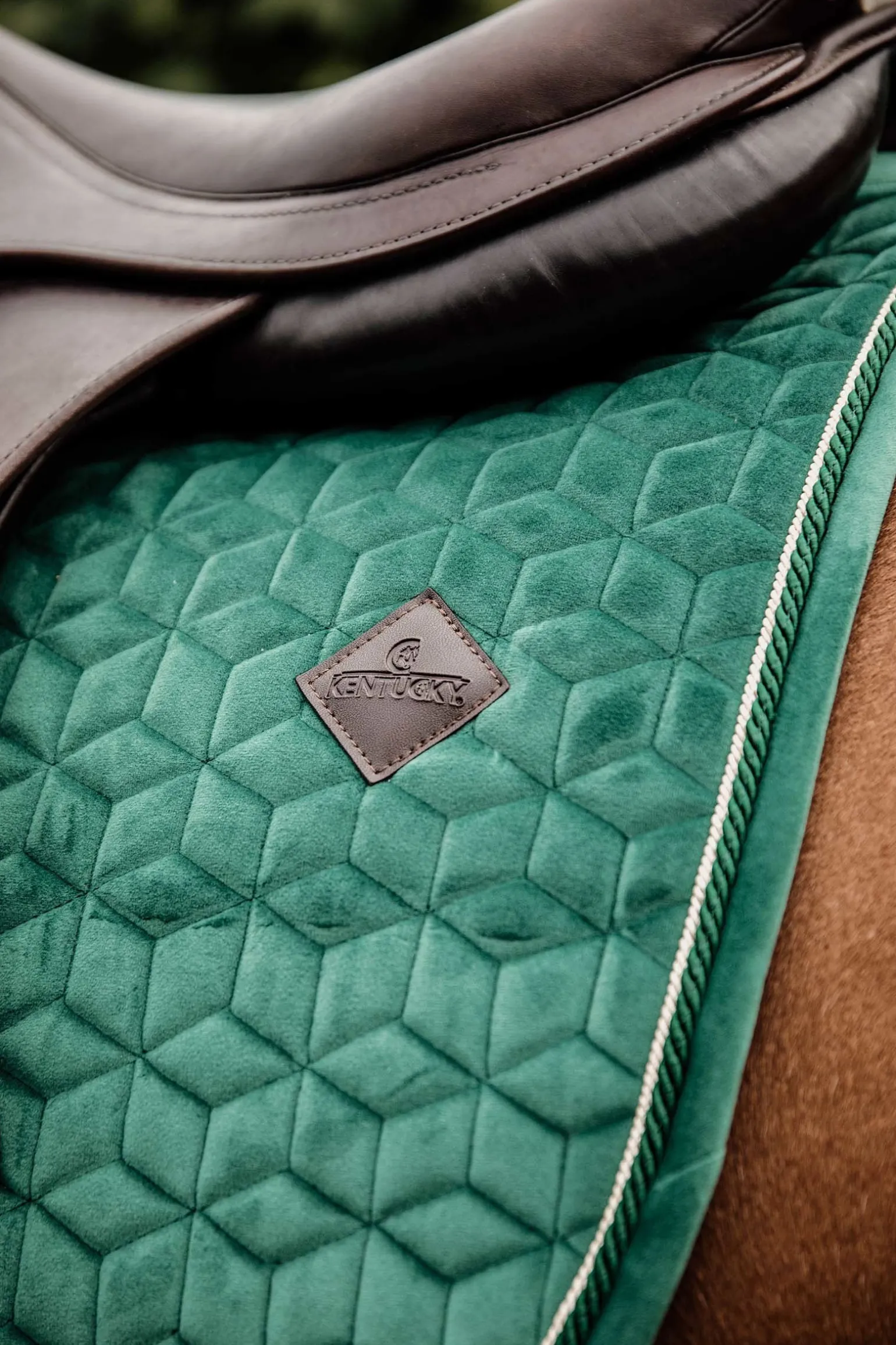 Velvet Springschabracke