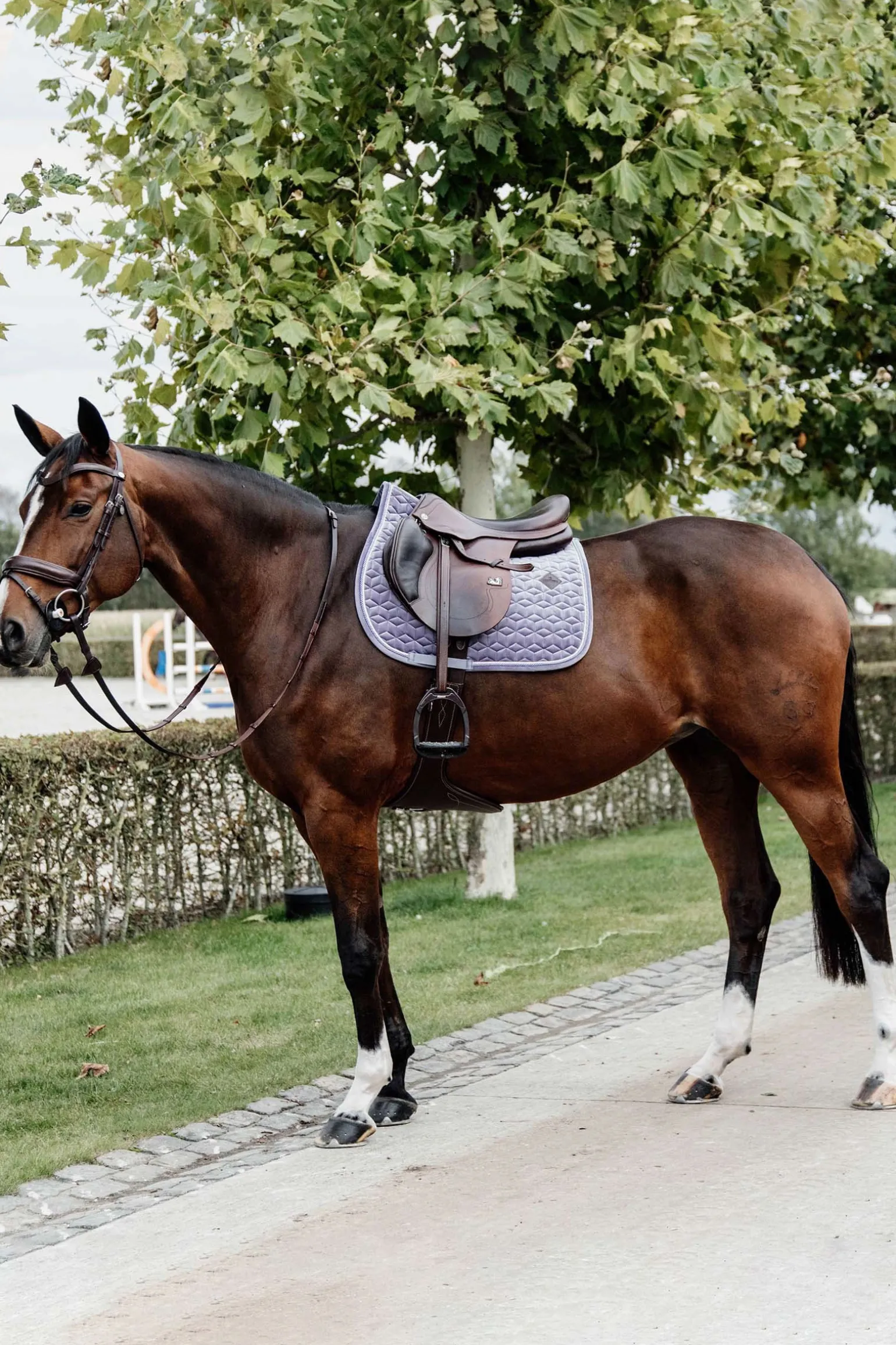 Velvet Springschabracke