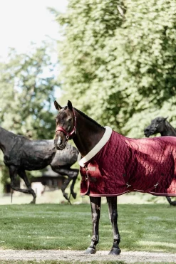 Velvet Turnierdecke, 160g