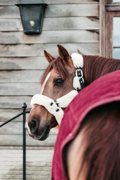 Velvet Turnierdecke, 160g