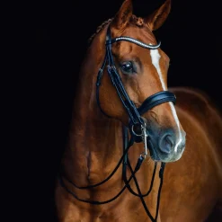 Venice Double Bridle