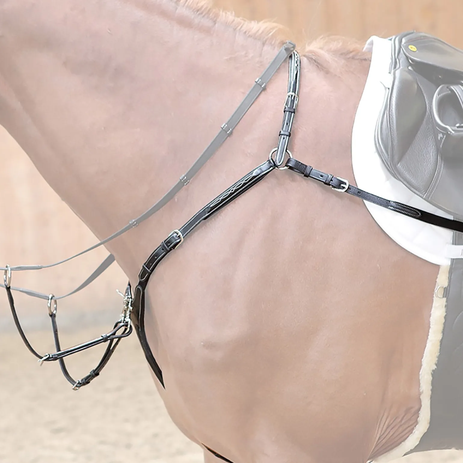 Vorderzeug Diandro, W