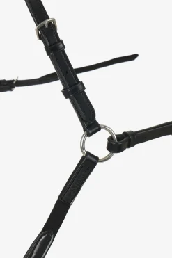 Vorderzeug mit abnehmbarem Martingal