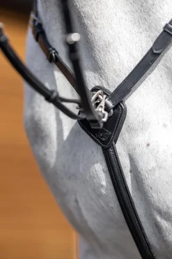 Vorderzeug mit abnehmbarem Martingal