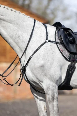 Vorderzeug mit abnehmbarem Martingal