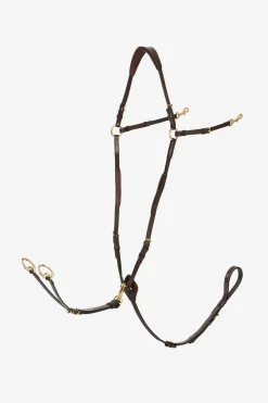 Vorderzeug mit abnehmbarem Martingal