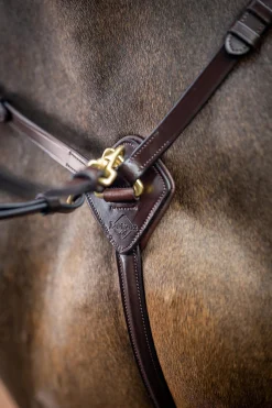 Vorderzeug mit abnehmbarem Martingal