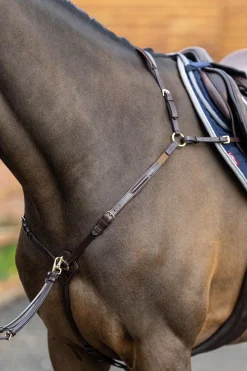 Vorderzeug mit abnehmbarem Martingal