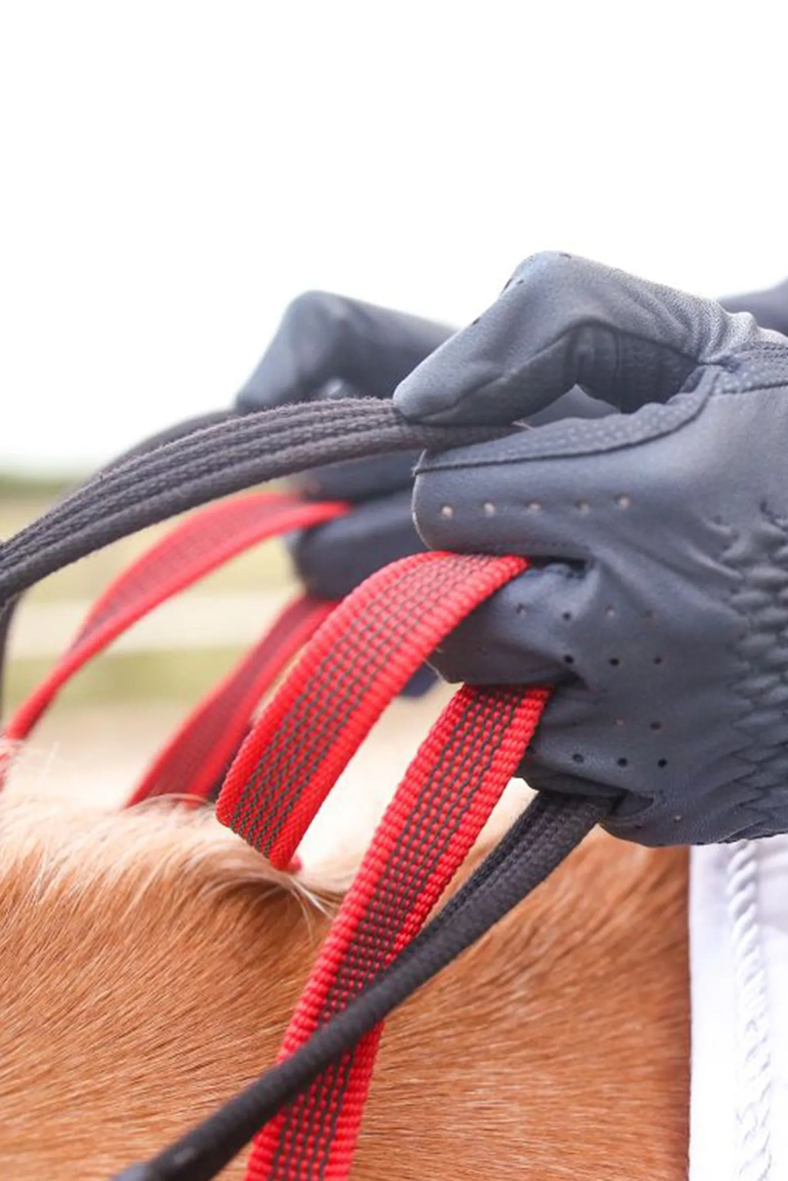 Vorderzeug Mit Sicherheitszügel Secutrust