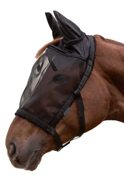 Weidehalfter mit Fliegenmaske