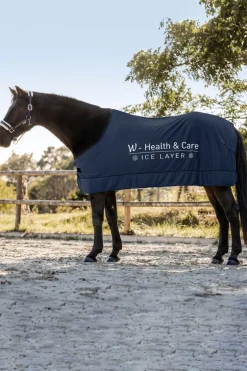 W-Health & Care Ice Layer Kühldecke