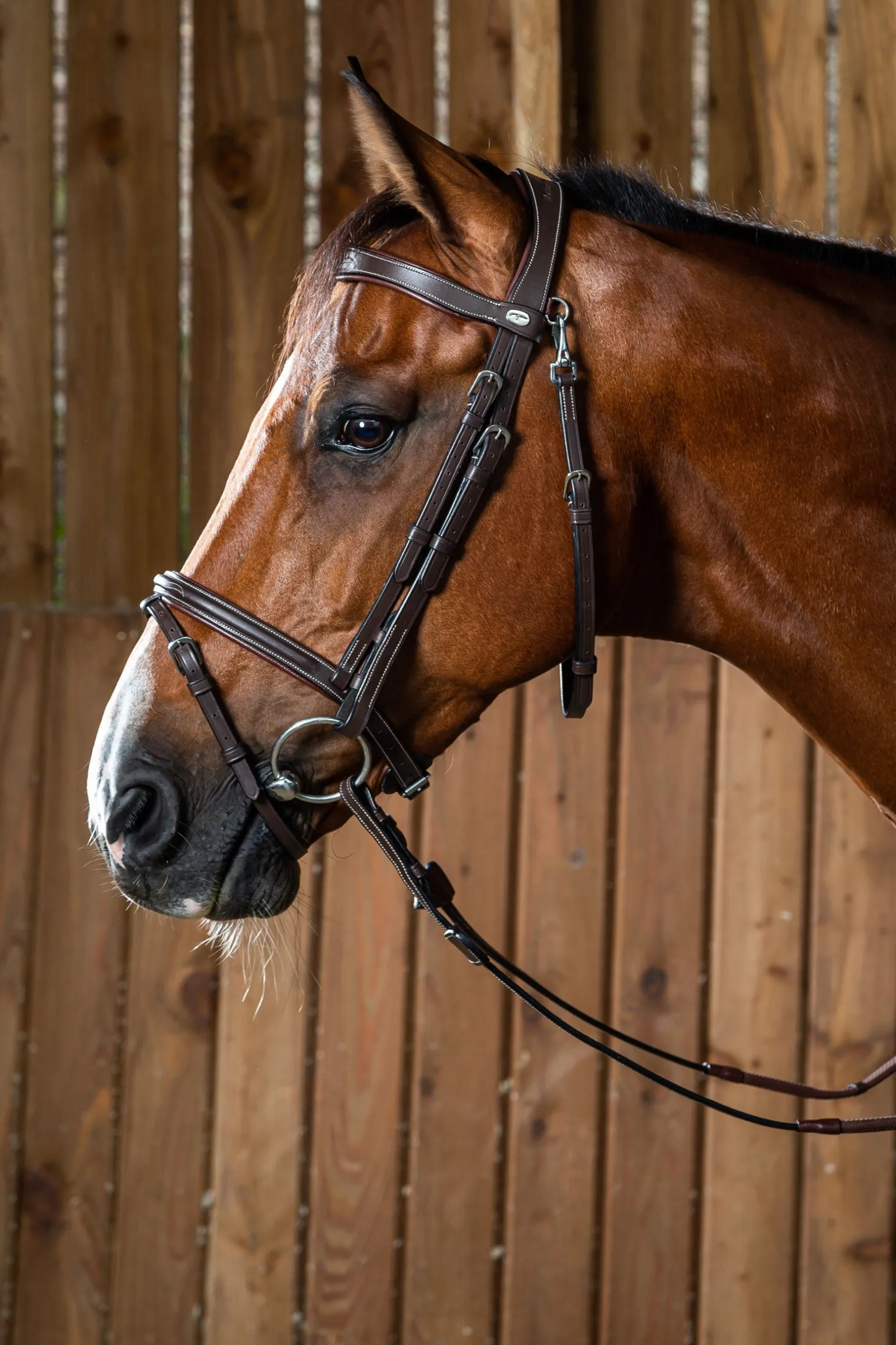 Working kombinierte Trense mit Karabinerhaken