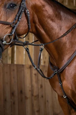 Working Martingalgabel