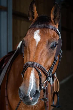 Working Mini-Scheuklappen