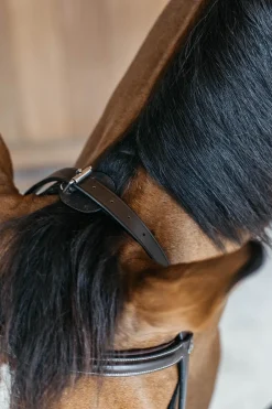 Working Trainings Trense