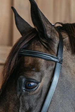 Working Trainings Trense