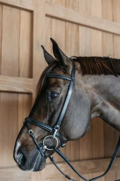 Working Trainings Trense