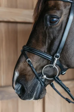 Working Trainings Trense