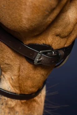 Working Trense aus flachem Leder mit Karabinerhaken