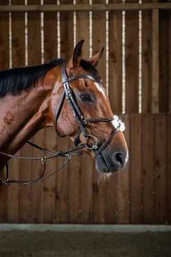 Working Trense mit mexikanischem Reithalfter