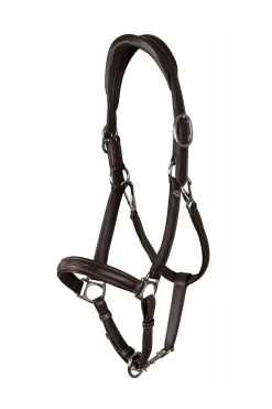 Working weiches 2-in-1 Transporthalfter