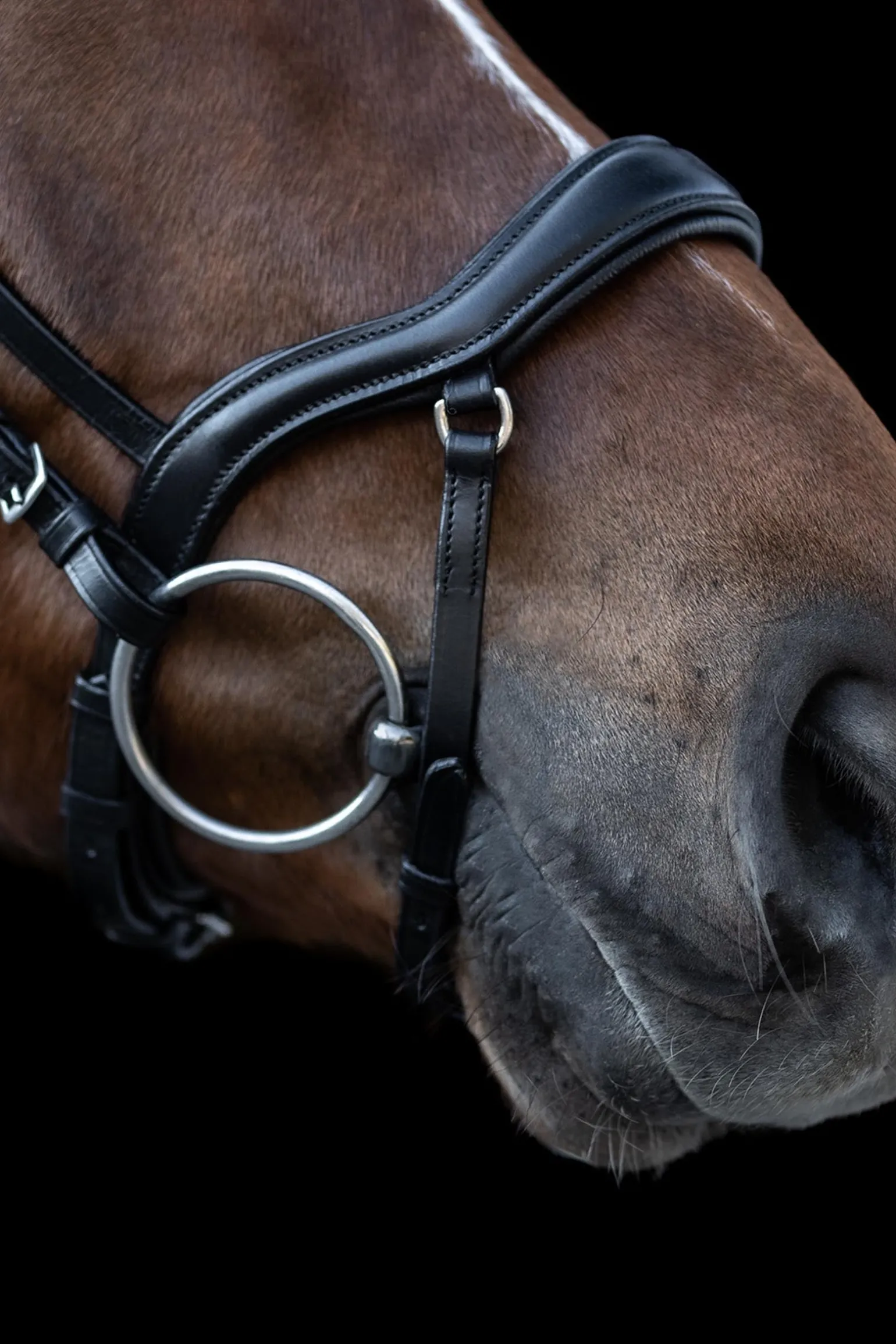 X-Line New Shape II Trense