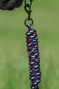 Yale Set Halfter & Strick