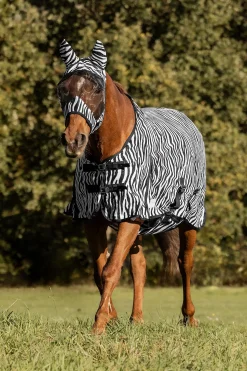 Zebra Fliegendecke mit geraden Bauchgurten