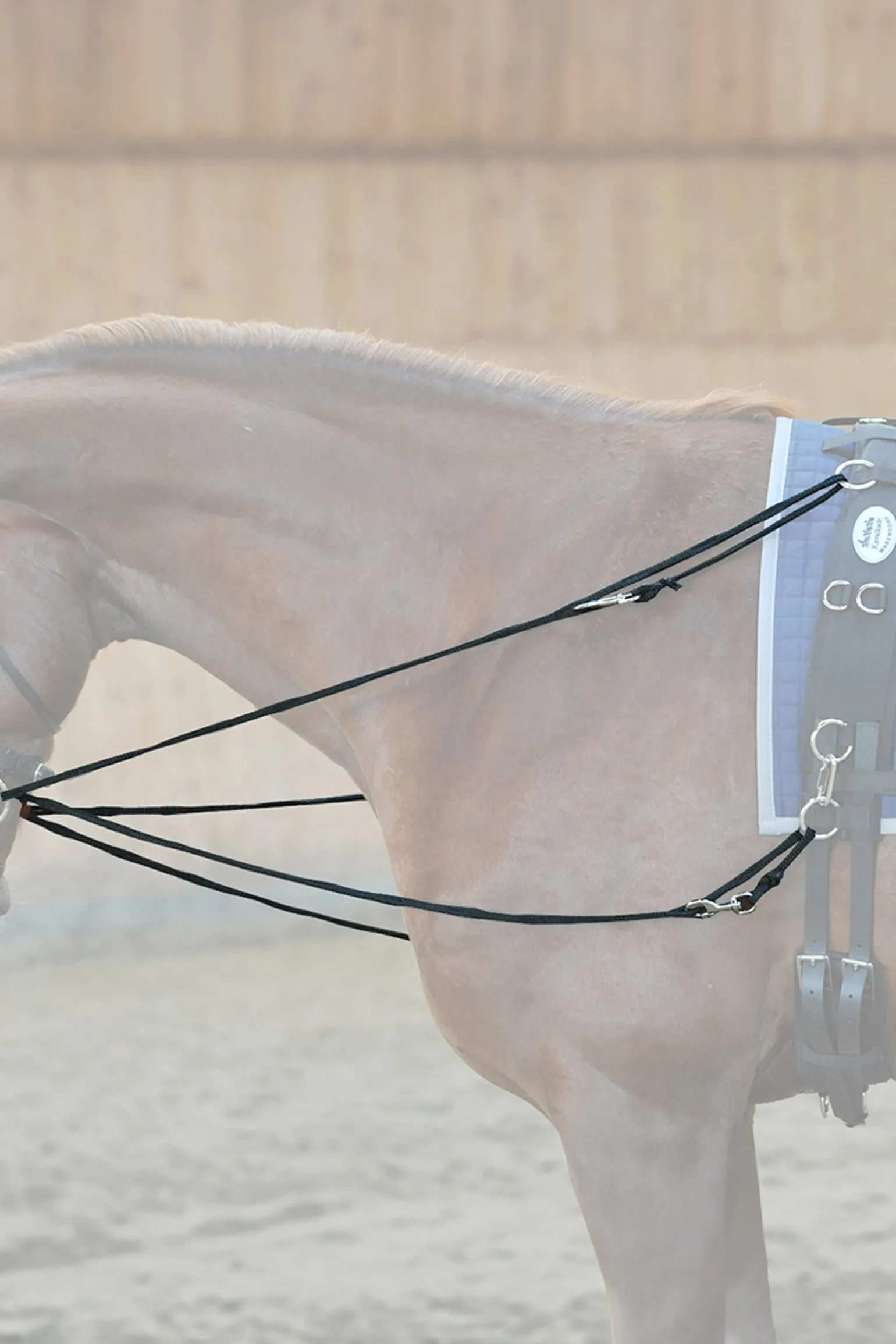 Zügel Philip Easy - Nylon