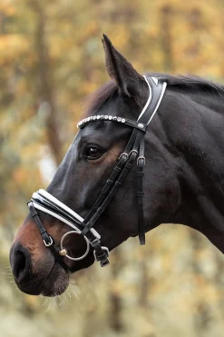 Zora Krank Trense mit Sprerriemen