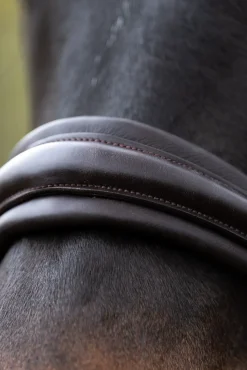 Zora Krank Trense mit Sprerriemen